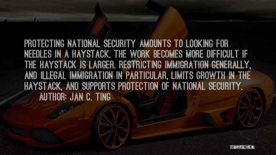 Jan C. Ting Quotes: Protecting National Security Amounts To Looking For Needles In A Haystack. The Work Becomes More Difficult If The Haystack Is