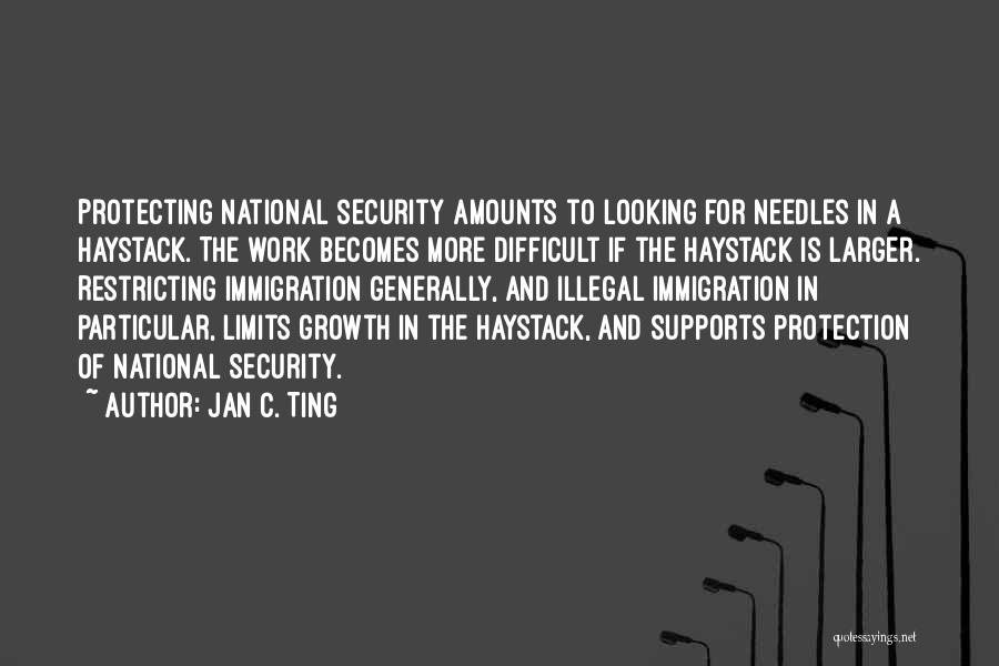 Jan C. Ting Quotes: Protecting National Security Amounts To Looking For Needles In A Haystack. The Work Becomes More Difficult If The Haystack Is