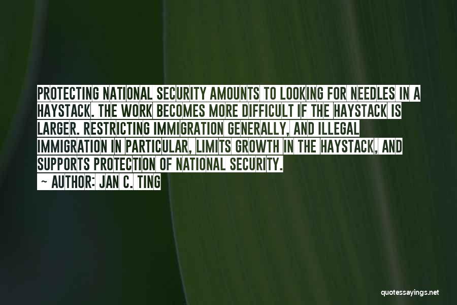 Jan C. Ting Quotes: Protecting National Security Amounts To Looking For Needles In A Haystack. The Work Becomes More Difficult If The Haystack Is