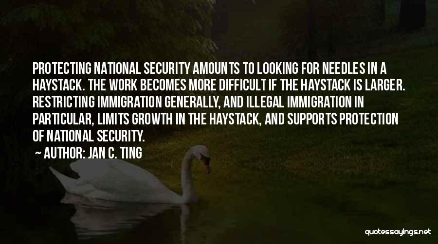 Jan C. Ting Quotes: Protecting National Security Amounts To Looking For Needles In A Haystack. The Work Becomes More Difficult If The Haystack Is