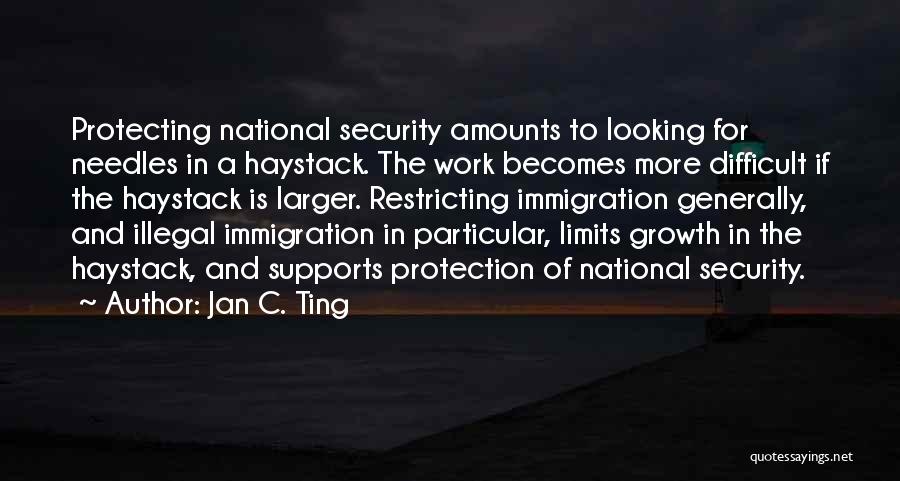 Jan C. Ting Quotes: Protecting National Security Amounts To Looking For Needles In A Haystack. The Work Becomes More Difficult If The Haystack Is