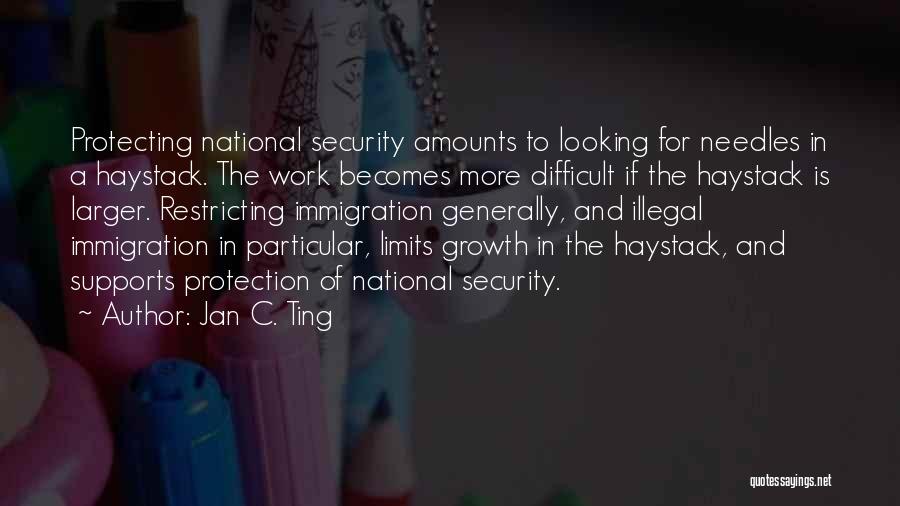 Jan C. Ting Quotes: Protecting National Security Amounts To Looking For Needles In A Haystack. The Work Becomes More Difficult If The Haystack Is
