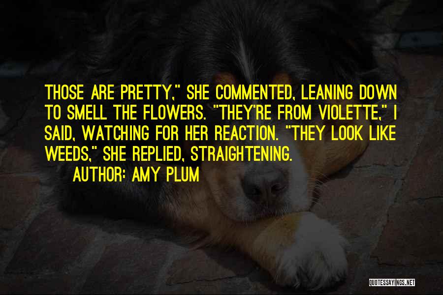 Amy Plum Quotes: Those Are Pretty, She Commented, Leaning Down To Smell The Flowers. They're From Violette, I Said, Watching For Her Reaction.