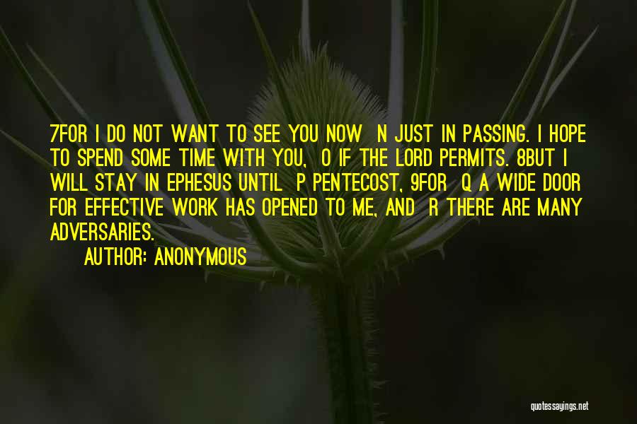 Anonymous Quotes: 7for I Do Not Want To See You Now N Just In Passing. I Hope To Spend Some Time With