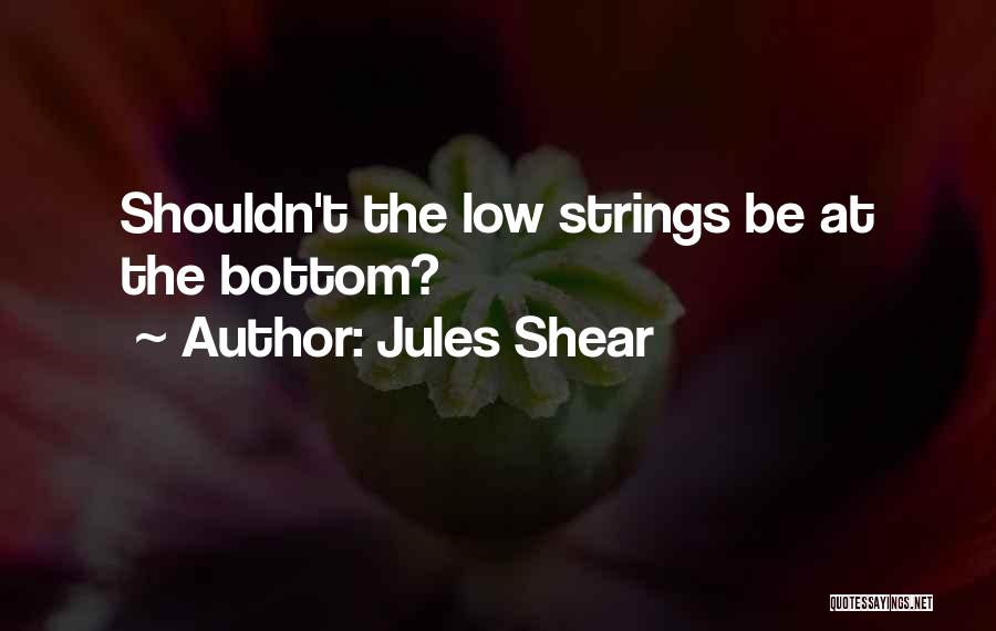 Jules Shear Quotes: Shouldn't The Low Strings Be At The Bottom?
