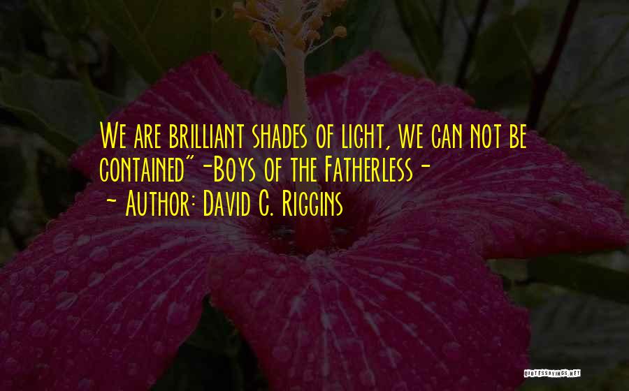 David C. Riggins Quotes: We Are Brilliant Shades Of Light, We Can Not Be Contained-boys Of The Fatherless-