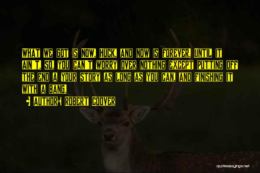 Robert Coover Quotes: What We Got Is Now, Huck, And Now Is Forever. Until It Ain't. So, You Can't Worry Over Nothing Except