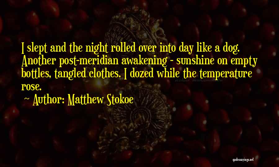 Matthew Stokoe Quotes: I Slept And The Night Rolled Over Into Day Like A Dog. Another Post-meridian Awakening - Sunshine On Empty Bottles,