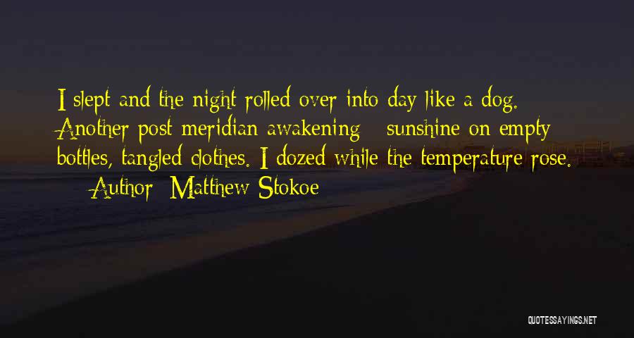 Matthew Stokoe Quotes: I Slept And The Night Rolled Over Into Day Like A Dog. Another Post-meridian Awakening - Sunshine On Empty Bottles,