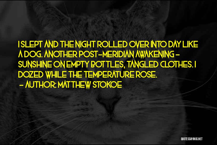 Matthew Stokoe Quotes: I Slept And The Night Rolled Over Into Day Like A Dog. Another Post-meridian Awakening - Sunshine On Empty Bottles,