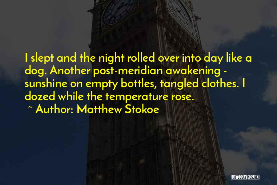 Matthew Stokoe Quotes: I Slept And The Night Rolled Over Into Day Like A Dog. Another Post-meridian Awakening - Sunshine On Empty Bottles,