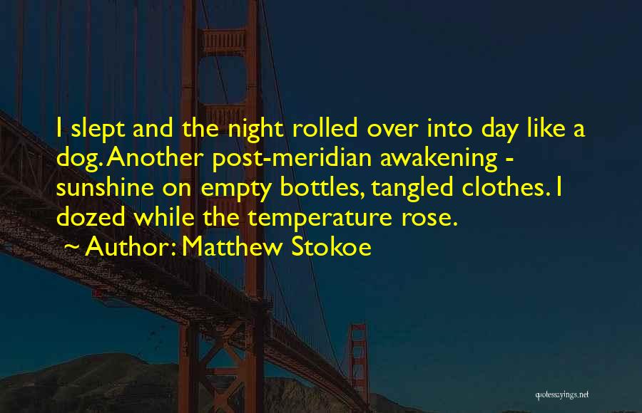 Matthew Stokoe Quotes: I Slept And The Night Rolled Over Into Day Like A Dog. Another Post-meridian Awakening - Sunshine On Empty Bottles,