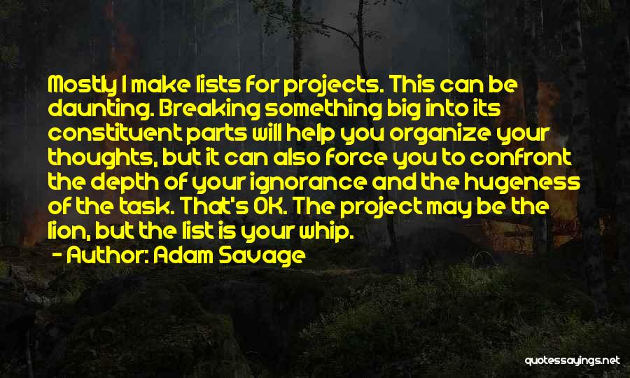 Adam Savage Quotes: Mostly I Make Lists For Projects. This Can Be Daunting. Breaking Something Big Into Its Constituent Parts Will Help You