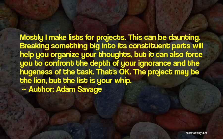 Adam Savage Quotes: Mostly I Make Lists For Projects. This Can Be Daunting. Breaking Something Big Into Its Constituent Parts Will Help You