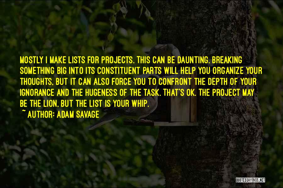 Adam Savage Quotes: Mostly I Make Lists For Projects. This Can Be Daunting. Breaking Something Big Into Its Constituent Parts Will Help You