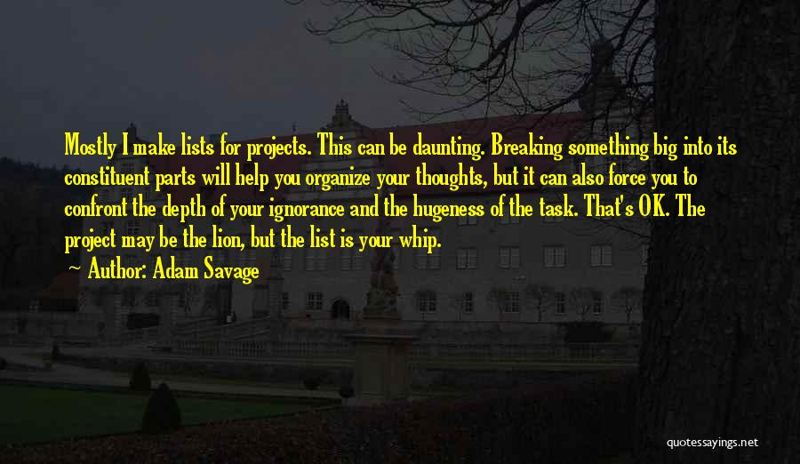 Adam Savage Quotes: Mostly I Make Lists For Projects. This Can Be Daunting. Breaking Something Big Into Its Constituent Parts Will Help You