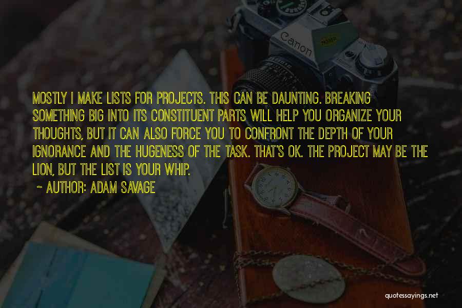 Adam Savage Quotes: Mostly I Make Lists For Projects. This Can Be Daunting. Breaking Something Big Into Its Constituent Parts Will Help You