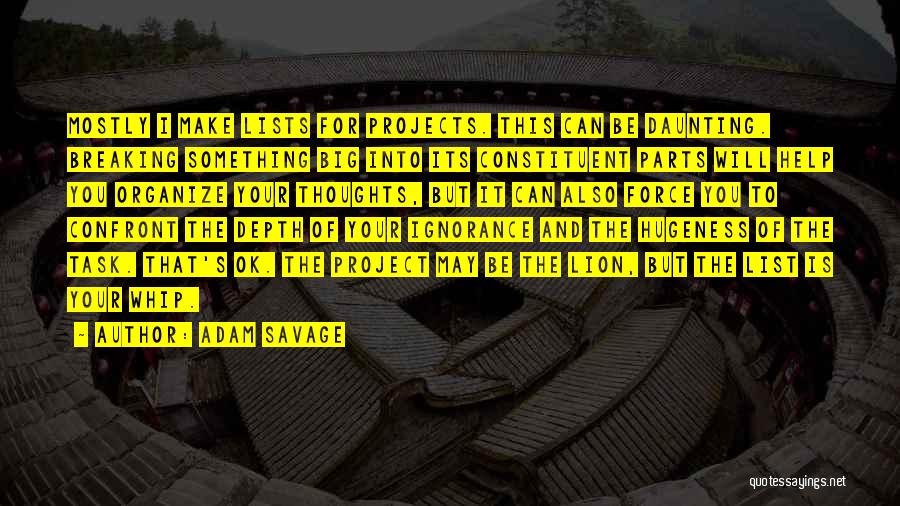 Adam Savage Quotes: Mostly I Make Lists For Projects. This Can Be Daunting. Breaking Something Big Into Its Constituent Parts Will Help You