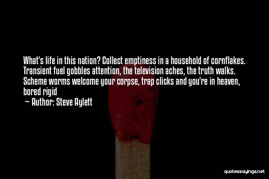 Steve Aylett Quotes: What's Life In This Nation? Collect Emptiness In A Household Of Cornflakes. Transient Fuel Gobbles Attention, The Television Aches, The