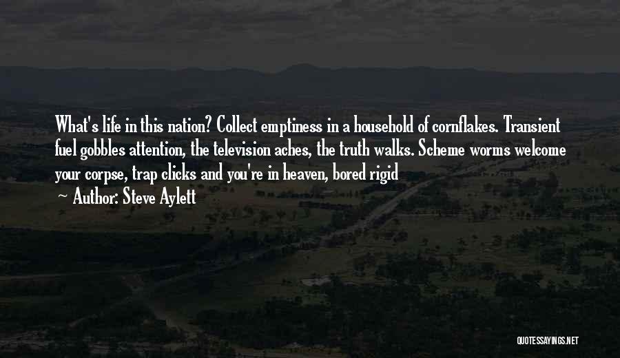 Steve Aylett Quotes: What's Life In This Nation? Collect Emptiness In A Household Of Cornflakes. Transient Fuel Gobbles Attention, The Television Aches, The