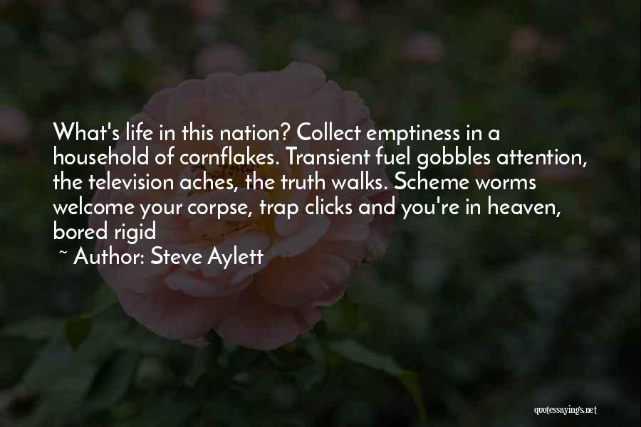 Steve Aylett Quotes: What's Life In This Nation? Collect Emptiness In A Household Of Cornflakes. Transient Fuel Gobbles Attention, The Television Aches, The