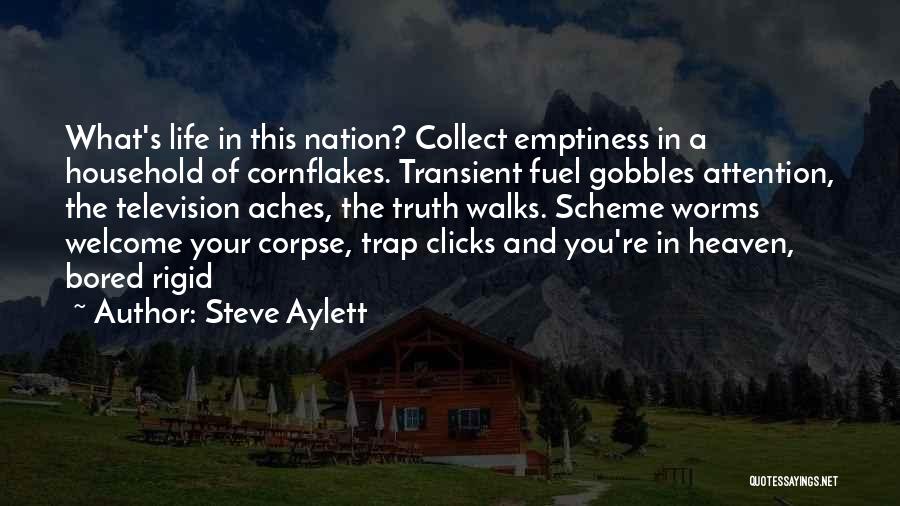 Steve Aylett Quotes: What's Life In This Nation? Collect Emptiness In A Household Of Cornflakes. Transient Fuel Gobbles Attention, The Television Aches, The