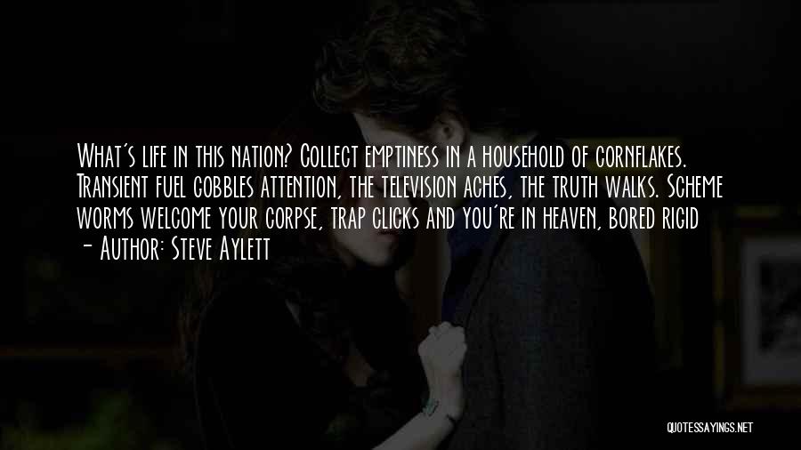 Steve Aylett Quotes: What's Life In This Nation? Collect Emptiness In A Household Of Cornflakes. Transient Fuel Gobbles Attention, The Television Aches, The