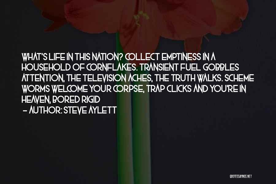 Steve Aylett Quotes: What's Life In This Nation? Collect Emptiness In A Household Of Cornflakes. Transient Fuel Gobbles Attention, The Television Aches, The