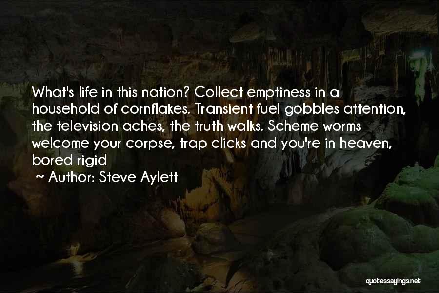 Steve Aylett Quotes: What's Life In This Nation? Collect Emptiness In A Household Of Cornflakes. Transient Fuel Gobbles Attention, The Television Aches, The