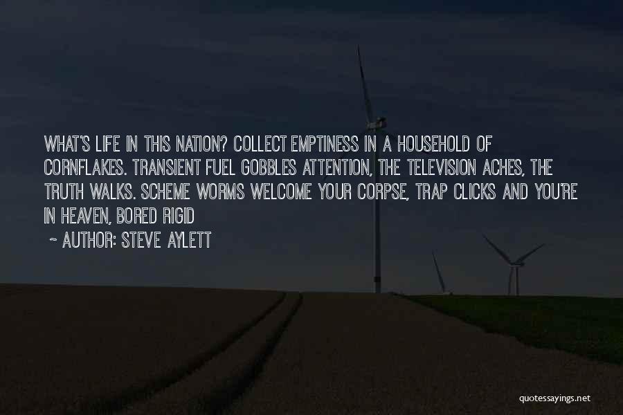 Steve Aylett Quotes: What's Life In This Nation? Collect Emptiness In A Household Of Cornflakes. Transient Fuel Gobbles Attention, The Television Aches, The