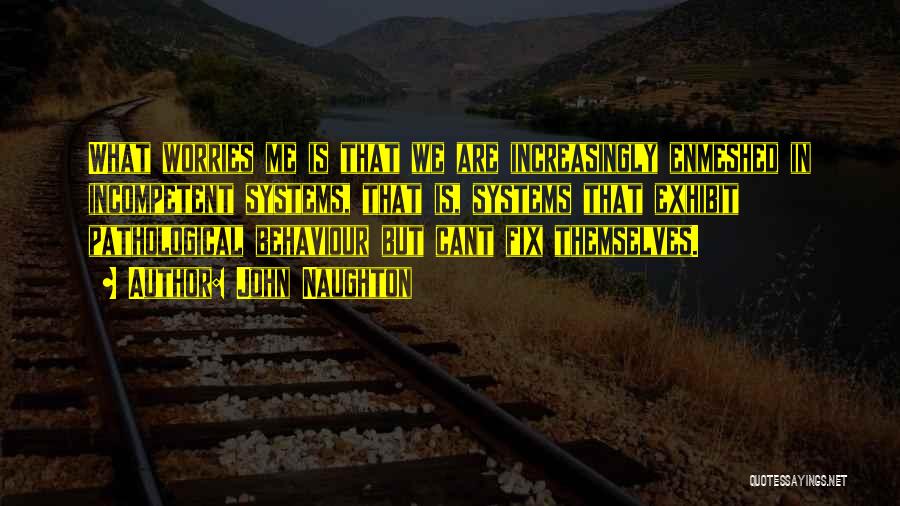 John Naughton Quotes: What Worries Me Is That We Are Increasingly Enmeshed In Incompetent Systems, That Is, Systems That Exhibit Pathological Behaviour But
