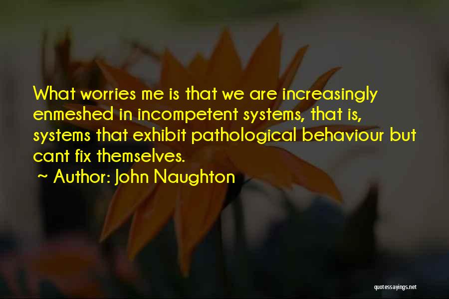 John Naughton Quotes: What Worries Me Is That We Are Increasingly Enmeshed In Incompetent Systems, That Is, Systems That Exhibit Pathological Behaviour But