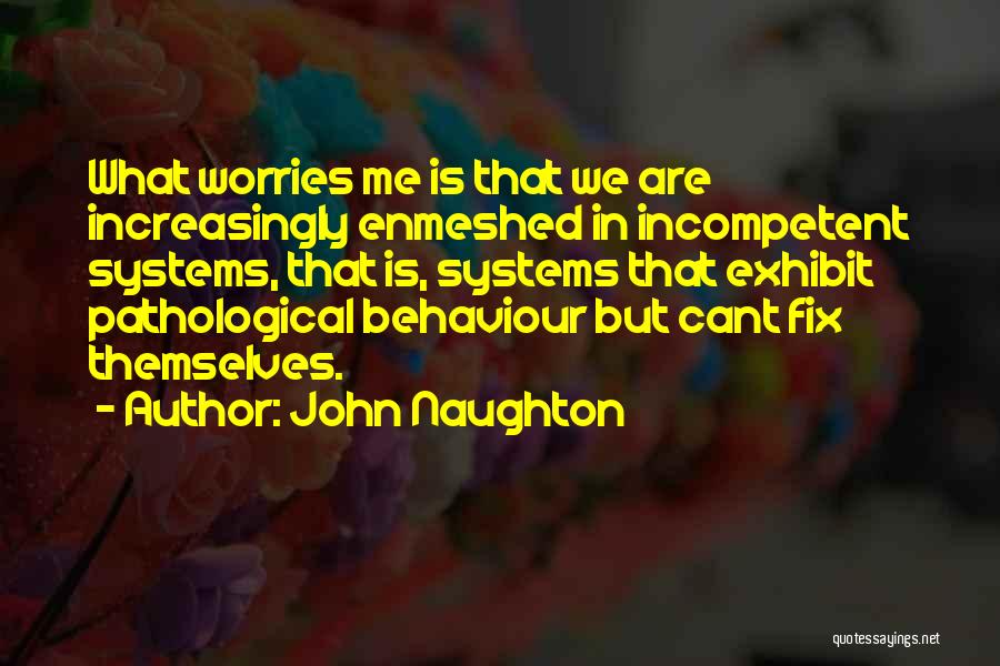 John Naughton Quotes: What Worries Me Is That We Are Increasingly Enmeshed In Incompetent Systems, That Is, Systems That Exhibit Pathological Behaviour But