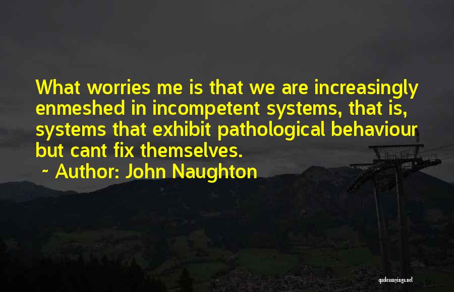 John Naughton Quotes: What Worries Me Is That We Are Increasingly Enmeshed In Incompetent Systems, That Is, Systems That Exhibit Pathological Behaviour But