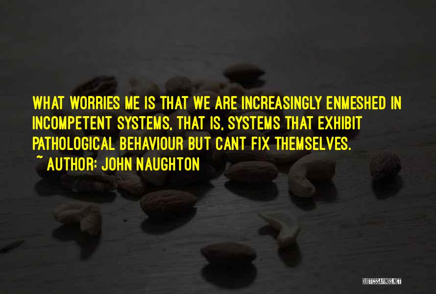John Naughton Quotes: What Worries Me Is That We Are Increasingly Enmeshed In Incompetent Systems, That Is, Systems That Exhibit Pathological Behaviour But