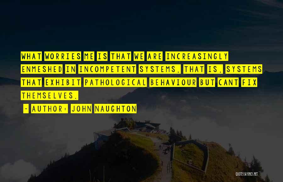 John Naughton Quotes: What Worries Me Is That We Are Increasingly Enmeshed In Incompetent Systems, That Is, Systems That Exhibit Pathological Behaviour But