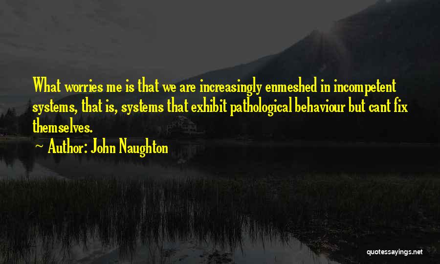 John Naughton Quotes: What Worries Me Is That We Are Increasingly Enmeshed In Incompetent Systems, That Is, Systems That Exhibit Pathological Behaviour But