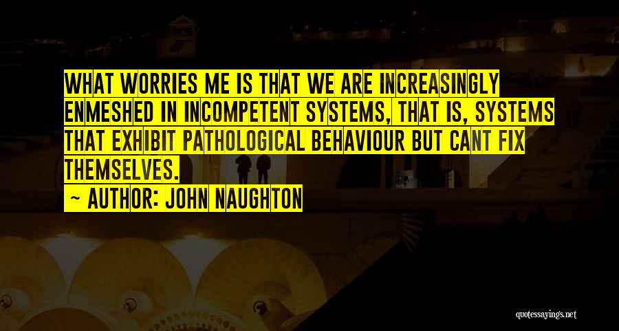 John Naughton Quotes: What Worries Me Is That We Are Increasingly Enmeshed In Incompetent Systems, That Is, Systems That Exhibit Pathological Behaviour But