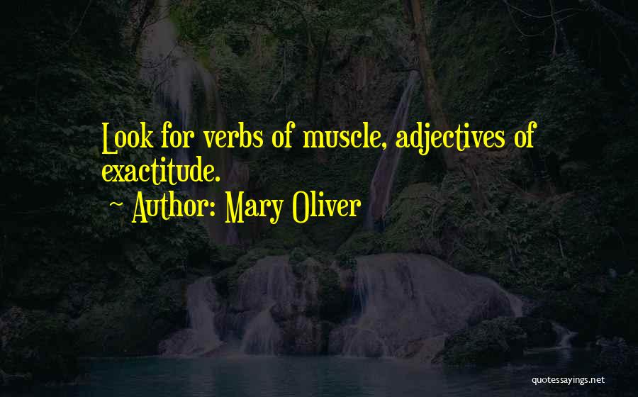 Mary Oliver Quotes: Look For Verbs Of Muscle, Adjectives Of Exactitude.