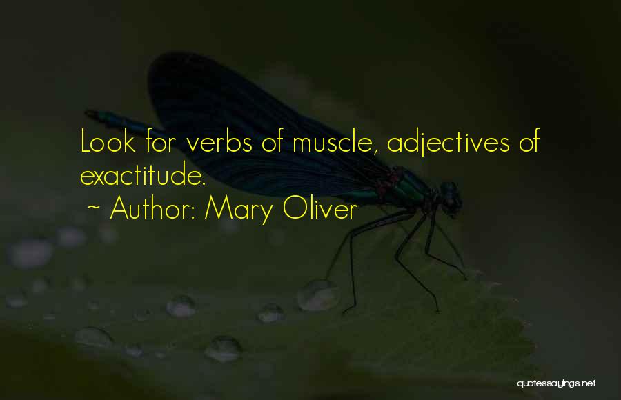 Mary Oliver Quotes: Look For Verbs Of Muscle, Adjectives Of Exactitude.
