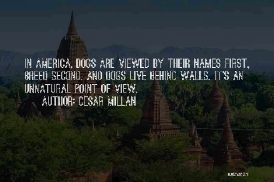 Cesar Millan Quotes: In America, Dogs Are Viewed By Their Names First, Breed Second. And Dogs Live Behind Walls. It's An Unnatural Point