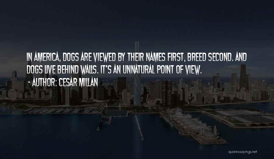 Cesar Millan Quotes: In America, Dogs Are Viewed By Their Names First, Breed Second. And Dogs Live Behind Walls. It's An Unnatural Point