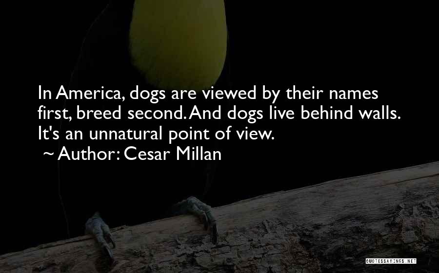 Cesar Millan Quotes: In America, Dogs Are Viewed By Their Names First, Breed Second. And Dogs Live Behind Walls. It's An Unnatural Point