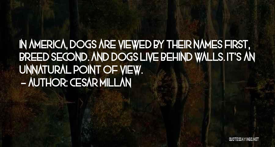 Cesar Millan Quotes: In America, Dogs Are Viewed By Their Names First, Breed Second. And Dogs Live Behind Walls. It's An Unnatural Point
