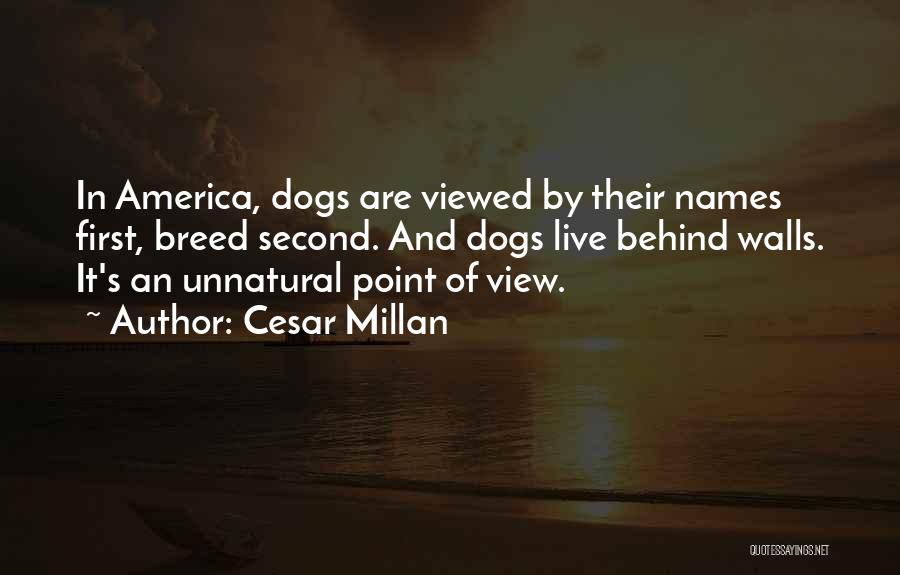 Cesar Millan Quotes: In America, Dogs Are Viewed By Their Names First, Breed Second. And Dogs Live Behind Walls. It's An Unnatural Point