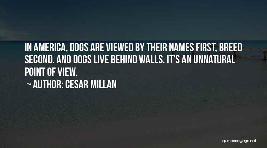 Cesar Millan Quotes: In America, Dogs Are Viewed By Their Names First, Breed Second. And Dogs Live Behind Walls. It's An Unnatural Point