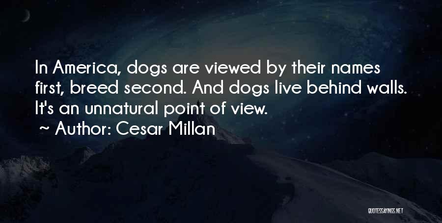 Cesar Millan Quotes: In America, Dogs Are Viewed By Their Names First, Breed Second. And Dogs Live Behind Walls. It's An Unnatural Point