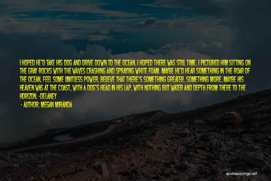 Megan Miranda Quotes: I Hoped He'd Take His Dog And Drive Down To The Ocean. I Hoped There Was Still Time. I Pictured