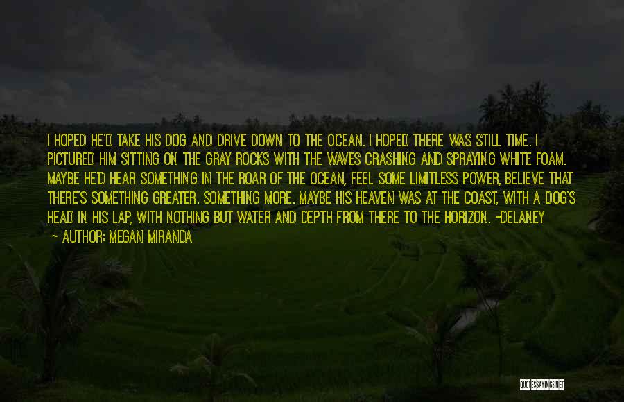 Megan Miranda Quotes: I Hoped He'd Take His Dog And Drive Down To The Ocean. I Hoped There Was Still Time. I Pictured