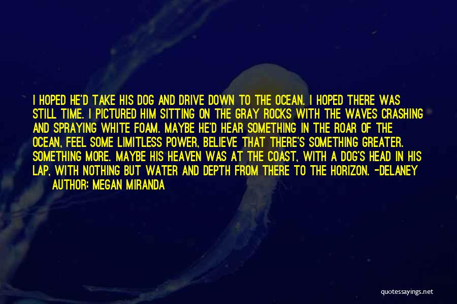Megan Miranda Quotes: I Hoped He'd Take His Dog And Drive Down To The Ocean. I Hoped There Was Still Time. I Pictured